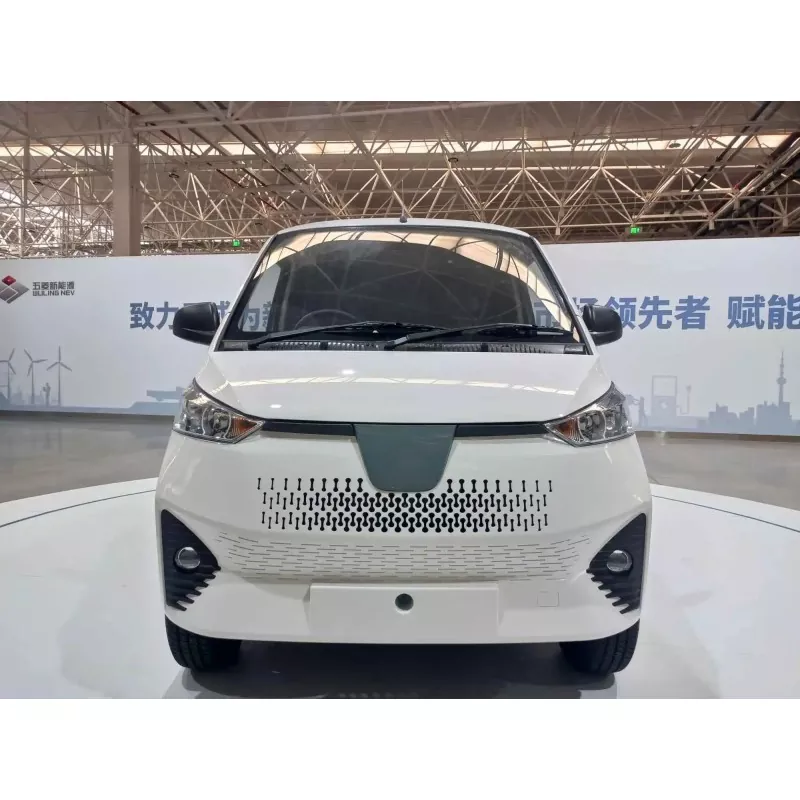 Ki sa ki se yon Mini Van elektrik?