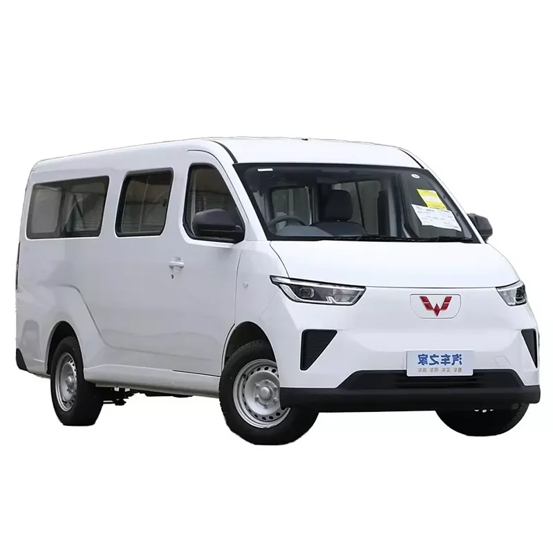 Genyen Carry Van Van